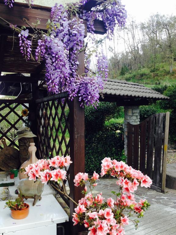Il Ghiro B&B 리코 델 골포 디 스페지아 외부 사진